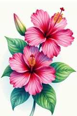 Obraz premium Vibrant hibiscus, orchids, plumeria in watercolor wash , greenery, graphics, exotic