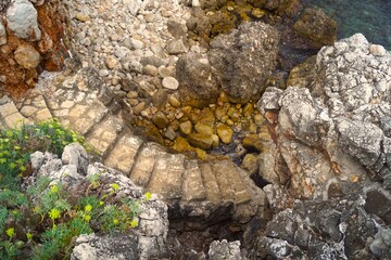caterpillar on stone