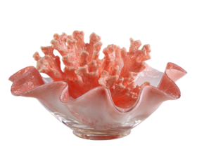 Glass coral sculpture adds elegance to home decor on a transparent background, cut out