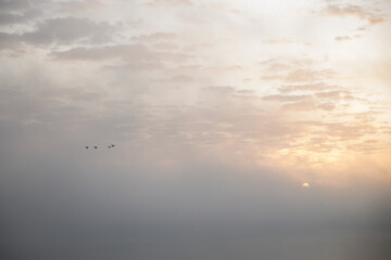 sunrise over the foggy river in Toruń © Przemylsaw Budzynski