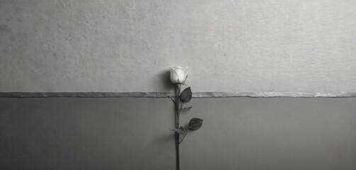 Single white rose on textured grey backdrop, minimalist design. Delicate bloom with leaves, subtle texture suggests fabric canvas. Perfect for condolences, farewells, memorial announcements, somber
