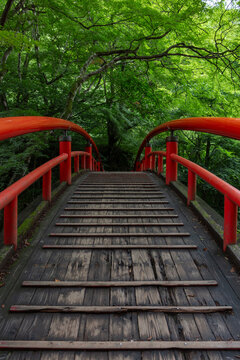 河鹿橋