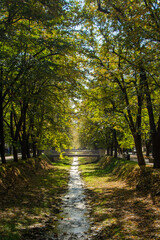 Beautiful city park in Vrnjacka banja, Serbia