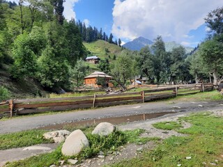 The breathtaking beauty of Taobat Bala, located in the Neelum Valley of Kashmir. This location boasts a stunning valley filled with lush green trees, towering mountains, and sparkling flowing springs. © KHAWAJA UMER FAROOQ