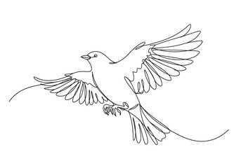 Obraz premium Minimalist single line drawing of a bird in flight