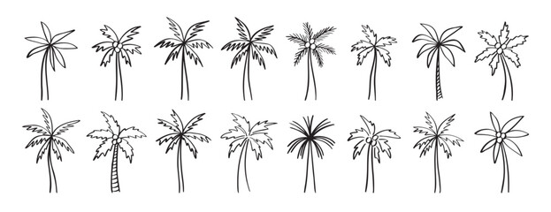 palm tree doodle hand drawn icon set. Outline drawing palm tree line clipart symbol collection
