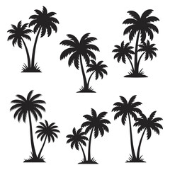 Obraz premium Tropical Palm Tree Silhouette Collection Vector Illustration for Summer Designs silhouette
