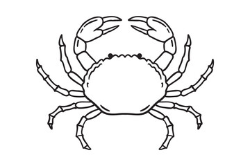 Crab icon doodle hand drawn. Outline crab line drawing clipart symbol