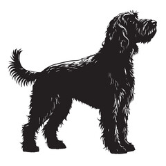 black goldendoodle Silhouette Vector, High Quality Illustration on White Background