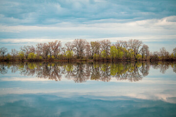 reflection of trees in water