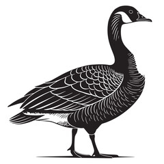 black goose Silhouette Vector, High Quality Illustration on White Background