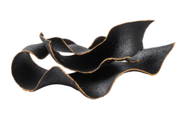 Dark, sculpted, organic shapes