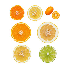 Obraz premium Assortment of fresh citrus fruit slices and whole fruits