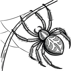 Detailed silhouette of a spider hanging from a thread with legs spread wide