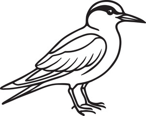 Obraz premium Adobe Illustrator Artwork