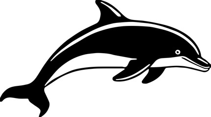 dolphin isolated on white background