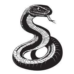 black and white snake