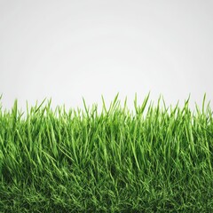Obraz premium Fresh green grass against a clear backdrop, showcasing natural beauty and serenity. The image highlights the vibrancy of nature