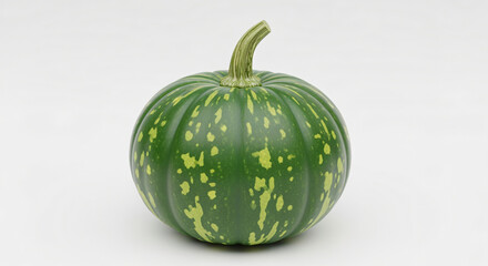 Green Speckled Pumpkin: Autumn Harvest Still Life