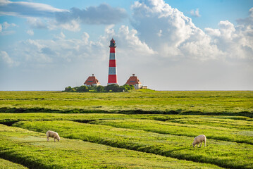 Leuchtturm Westerheversand mit Salzwiesen und Schafen