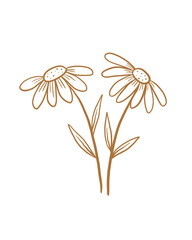 brown line art png illustration of a flower