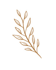 Leaves brown line art png