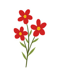 red flowers png illustration 