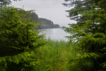 Beautiful nature of Spruce island near Kodiak in Alaska