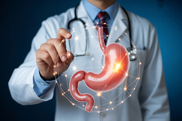 Doctor's hand pointing to glowing stomach model, concept for medical research and healthcare