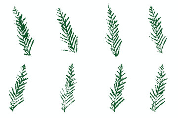 Natural conifer needles imprint, grunge style, vector, isolated, decorative elements for design