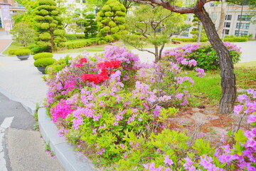 Seoul, Seoul, South Korea, 04 25 2025: Ewha Womans University is a private women's research university in Seoul, South Korea. 