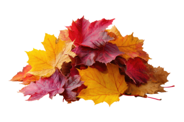 Pile of vibrant autumn leaves