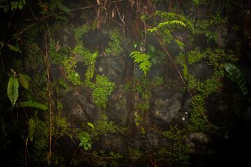 old grunge background