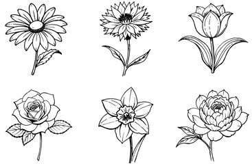 Flower Line Art Collection Black and White Vector Set
