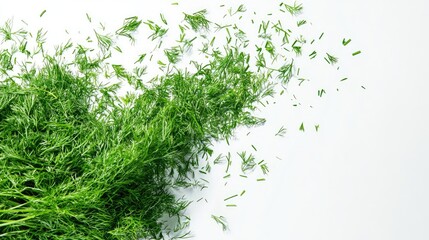 Freshly Chopped Dill Scattered on White Background