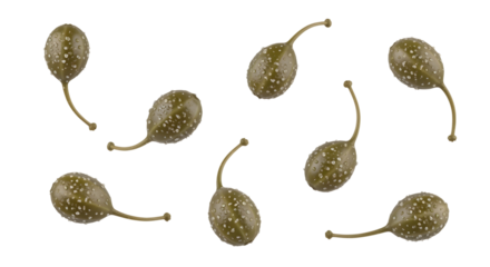 A few caper berries with stems, falling in a scattered pattern. The salty brine is visible as tiny droplets. Macro, photorealistic  with bright lighting on a transparent background.