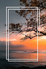 Framed sunset over ocean with tree