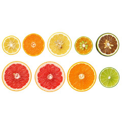 Fototapeta premium Assortment of fresh citrus fruit slices on white background
