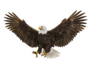 Obraz premium Majestic bald eagle with outstretched wings, showcasing intricate feather details, perched gracefully, symbolizing freedom and strength in a natural setting