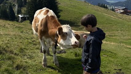 Child encounters a curious cow on a lush mountain pasture, creating a serene and touching moment of connection between human and animal against a scenic backdrop.