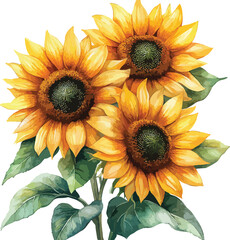 Fototapeta premium Close-up of a single, vibrant yellow sunflower blossom on a clean white background