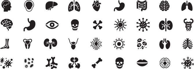 Human organ, anatomy icon set. Vector glyph pictograms of brain, heart, lungs, liver, stomach, intestine, kidney medical, healthcare, and biology concept black silhouette illustration.