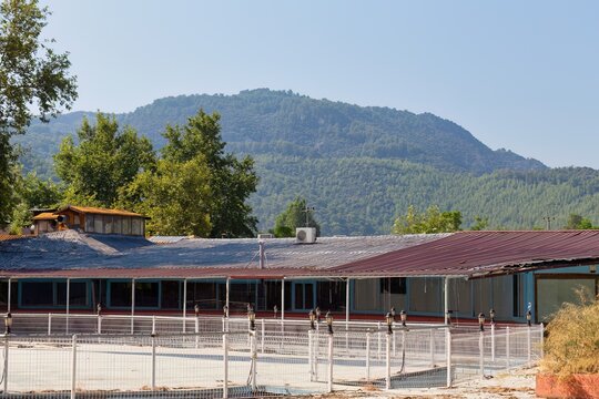 View of a landscape with a building in the foreground and a mountain covered in trees in the background. The building appears to have a white fence and a red roof in Dalyan - Ortaca - Mugla - Turkey