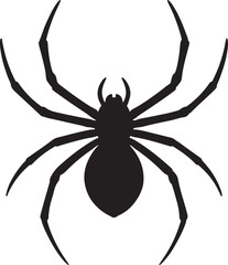 black spider isolated on white background