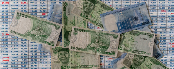 Spreadsheet covered with Nigerian Naira banknotes