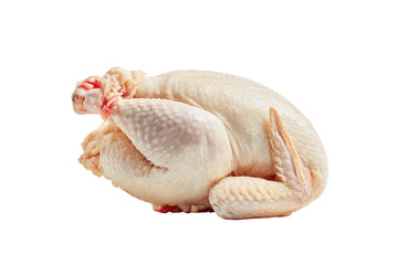 Whole raw chicken, light white flesh, presented on black background