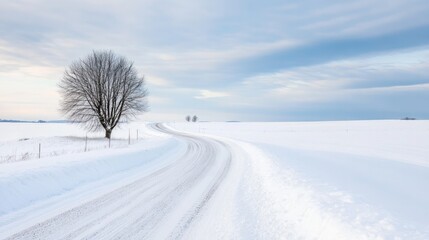 Obraz premium Winter's Serene Path: Capture the stark beauty of winter with a lone tree standing beside a snow-covered road, leading towards a serene, snow-laden landscape and overcast sky. 