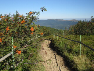 mountain road