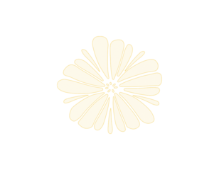 Seamless Yellow Floral Pattern – 5 Flowers on Transparent Background