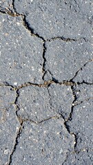 Fototapeta premium Cracked asphalt surface